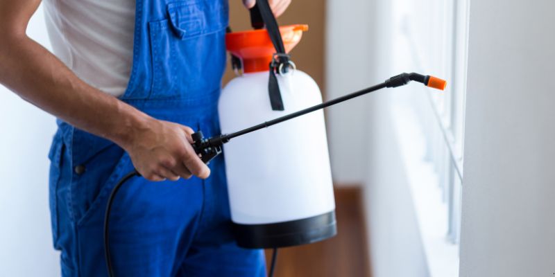 Como fazer dedetização em casa em Petrolina