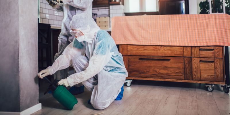 Dedetização em Apartamento Como Funciona em Petrolina: Confira 4 Passos Dedetização em Apartamento Como Funciona em Petrolina: Confira 4 Passos