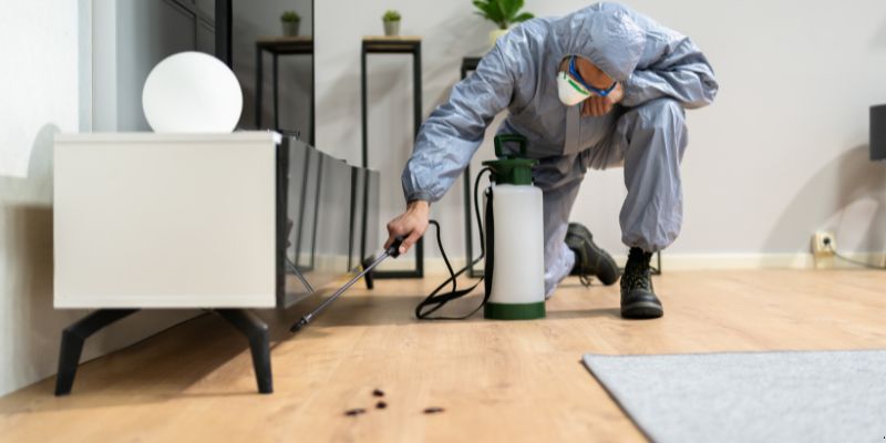 Quanto tempo dura uma dedetização em Petrolina?